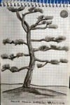 dibujo a lápiz de un árbol en japón