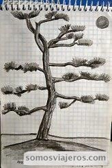dibujo a lápiz de un árbol en japón