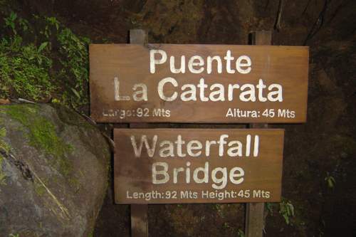 20090912_selva 5 20090912_selva 5