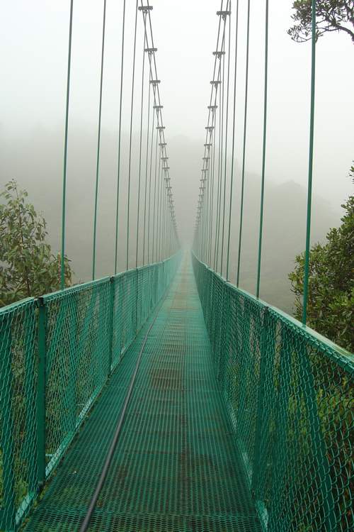 20090912_selva6 20090912_selva6