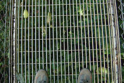 20090912_selva7 20090912_selva7