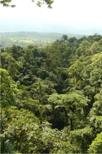 20090912_selva8 20090912_selva8