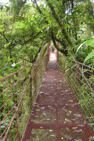 20090912_selva9 20090912_selva9