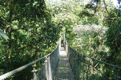 20090912_volar sobre la selva1 20090912_volar sobre la selva1