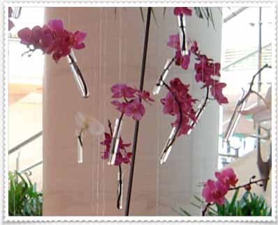 detalle flores westin shanghai