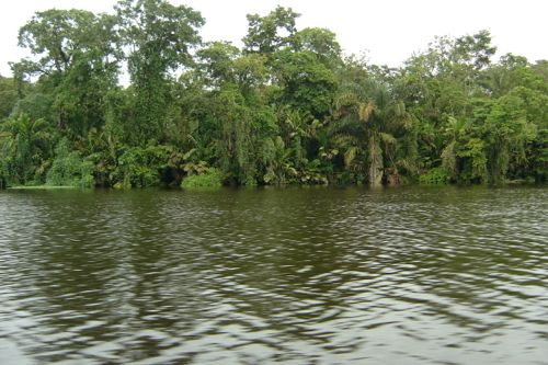 canales de Tortuguero (Costa Rica)