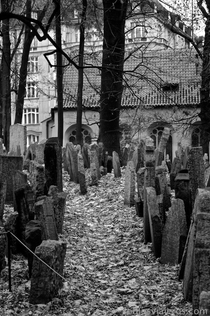 camino de hojas en el cementerio judio de Praga