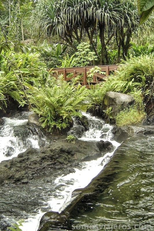 Pasarelas entre el agua en las aguas termales tabacón en Costa Rica