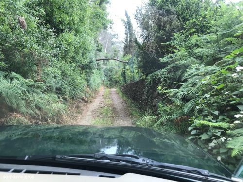 Norte de Madeira con niños en todoterreno: una aventura única